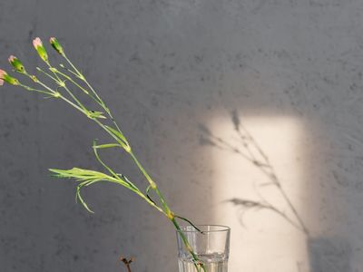 A serene space with a yoga mat and natural light.